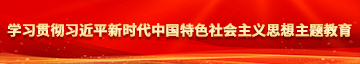 又湿又爽又免费视频外国学习贯彻习近平新时代中国特色社会主义思想主题教育